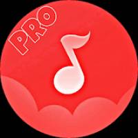 Music Player Pro / Unlimited Songs Play