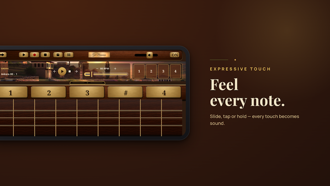 Baglama Pro screenshot 2