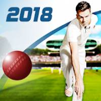 Cricket Captain 2018 0.18