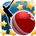 New Star Cricket screenshot 1