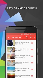 Video Player screenshot 4