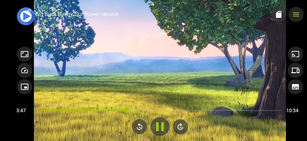 A+ Player screenshot 3