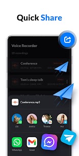 Voice Recorder & Voice Memos screenshot 7