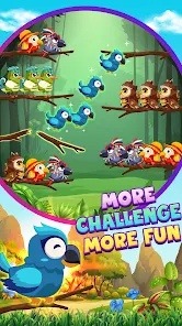Bird Sort 2