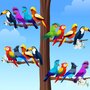 Bird Sort