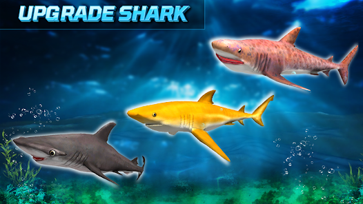 Angry Shark Sim