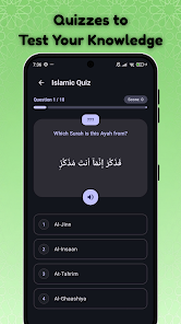 Screenshot image