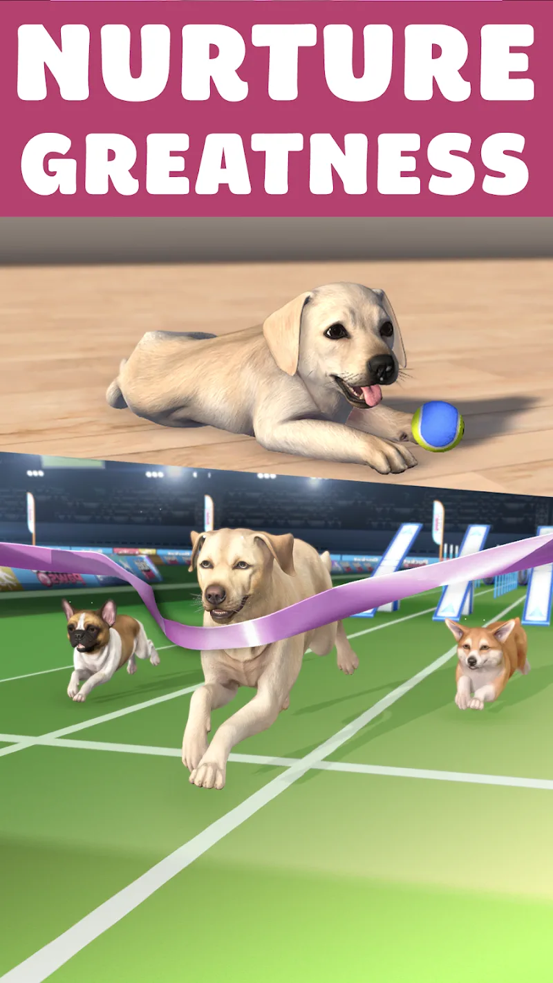 Pocket Paws screenshot 3