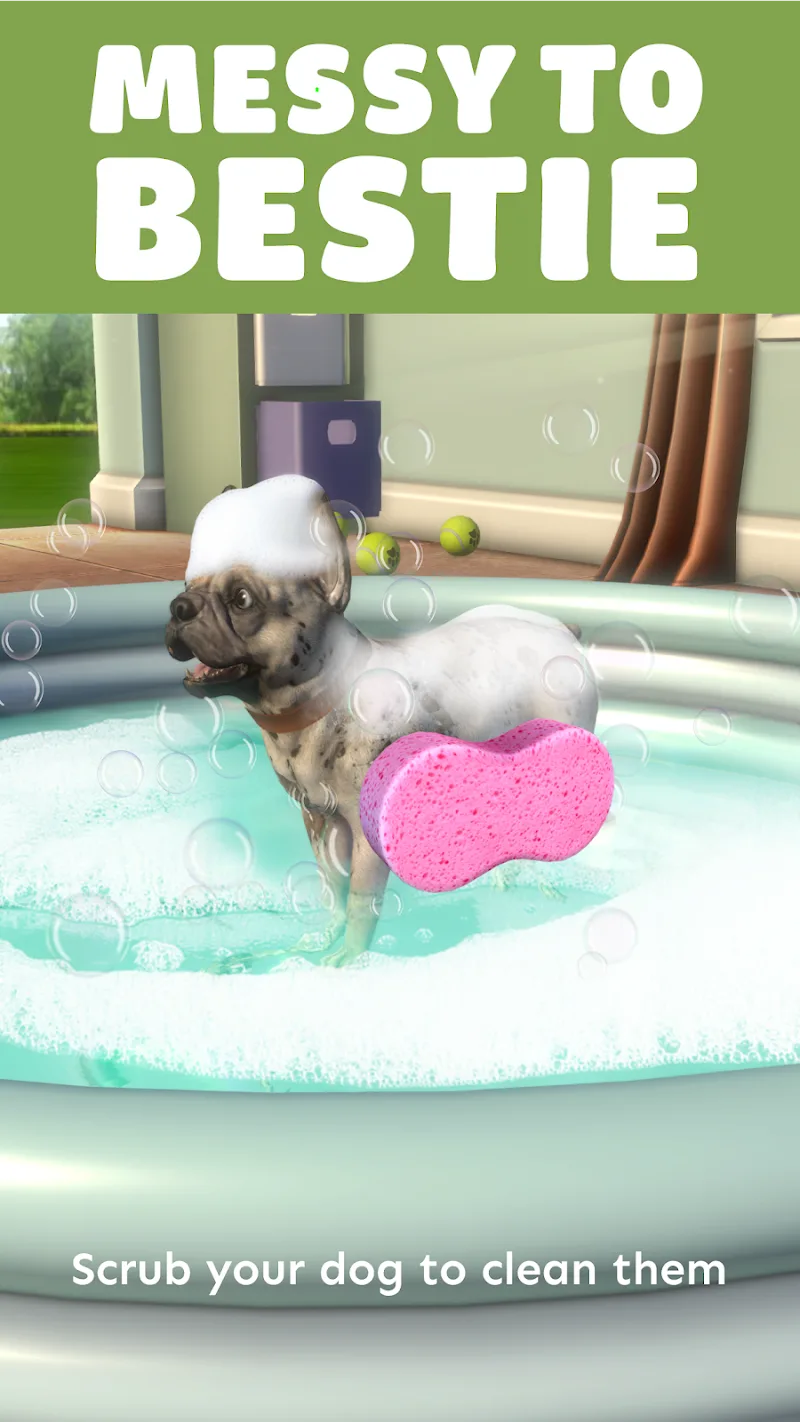 Pocket Paws screenshot 5