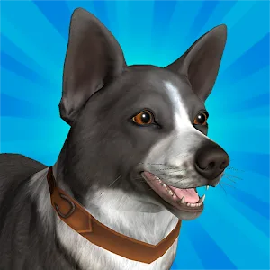 Pocket Paws: My lovely dogs