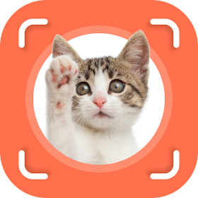Cat Identifier - Cat Scanner