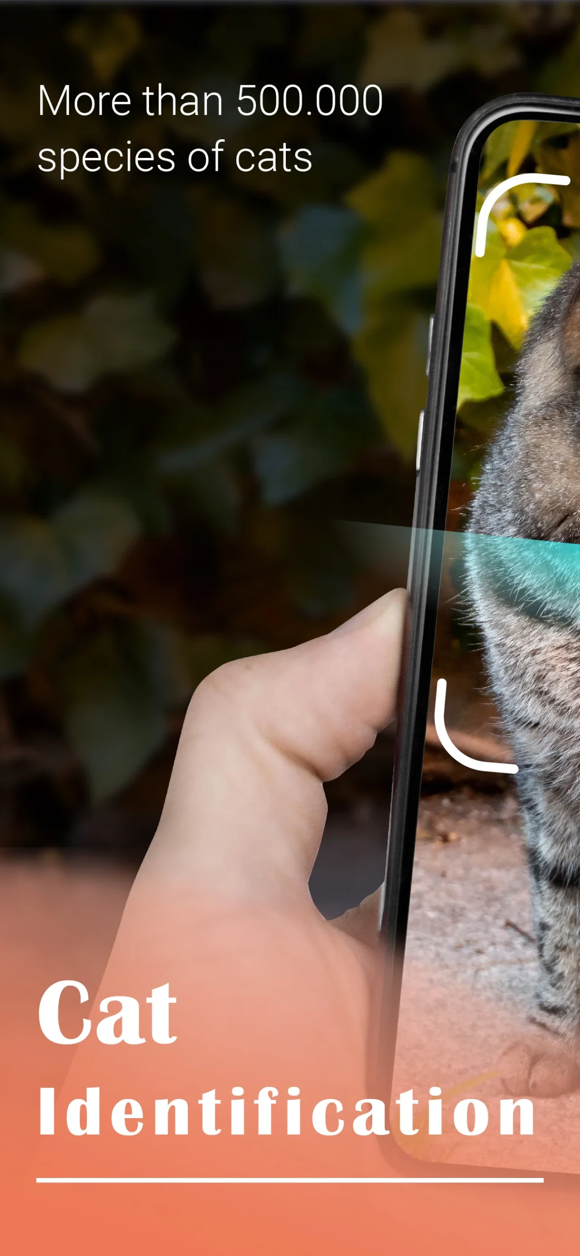 Cat Identifier - Cat Scanner screenshot 4