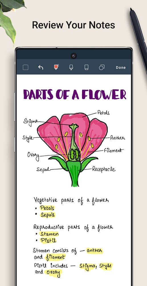 Noteshelf app preview 2