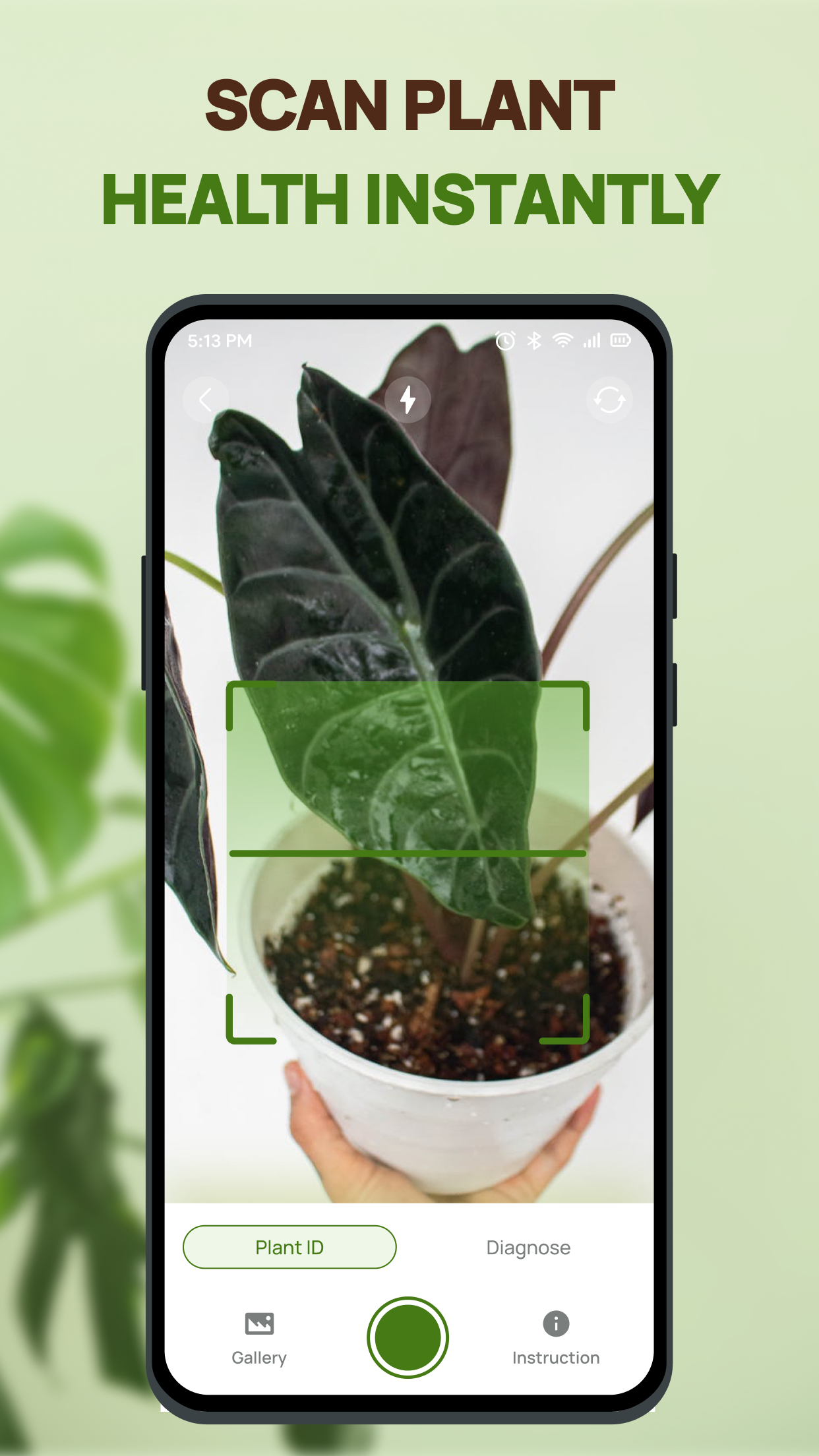 Plant Health Identifier screenshot 5