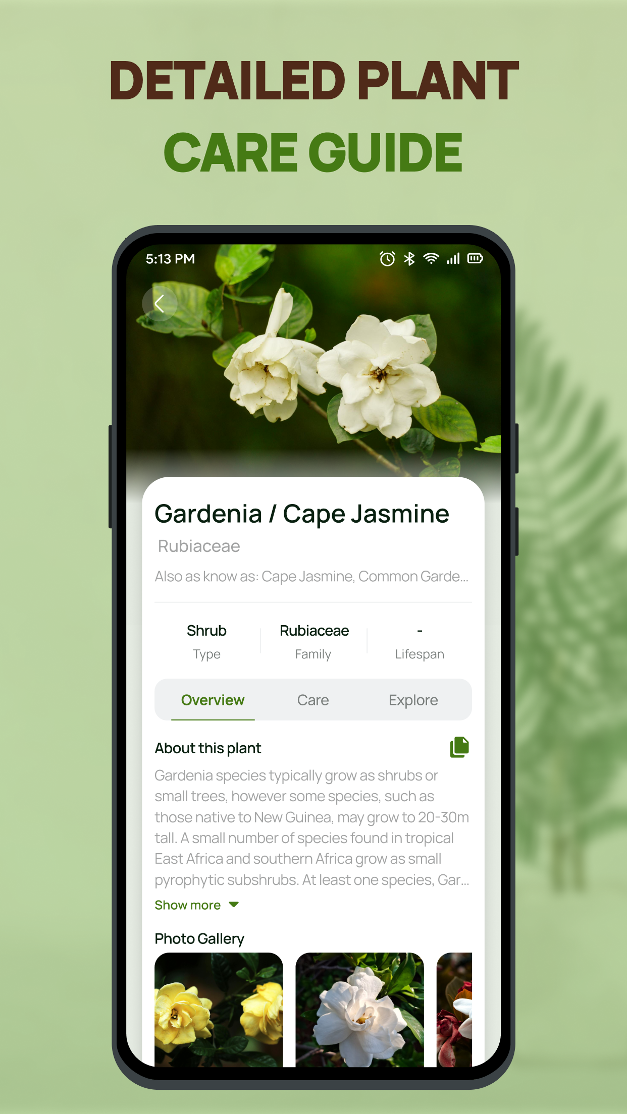 Plant Health Identifier screenshot 3