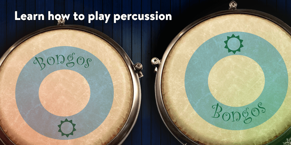 Congas Bongos screenshot 3