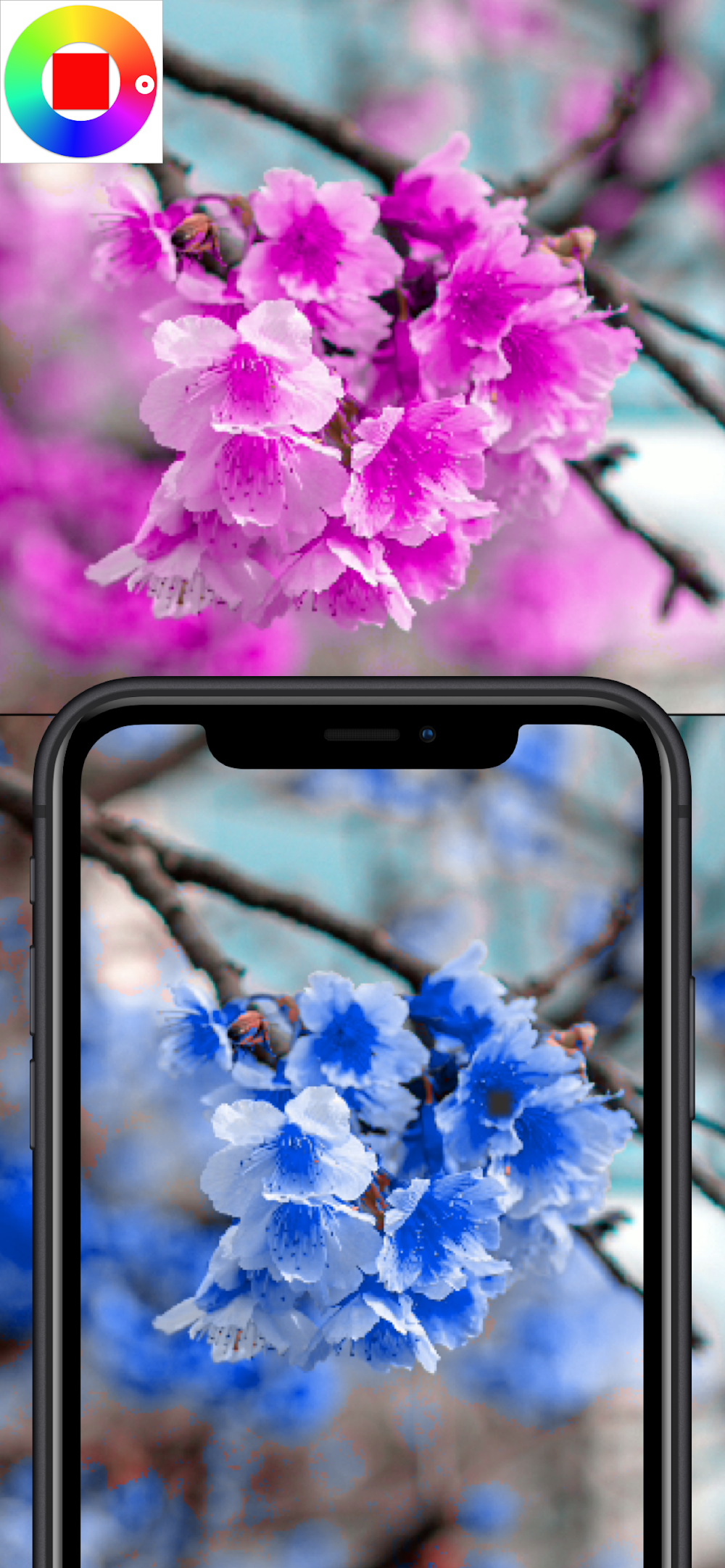 Color Changing Camera screenshot 4