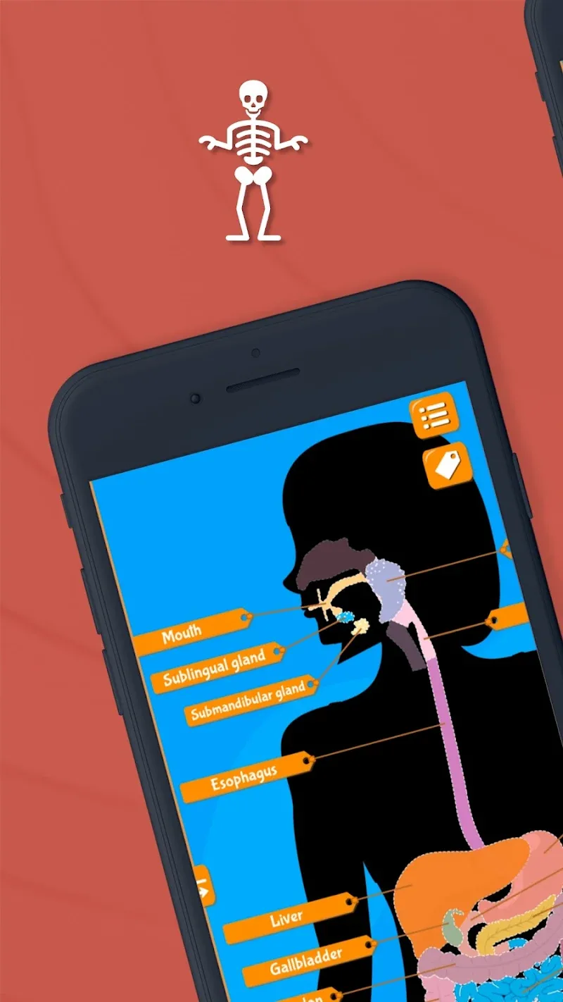 Anatomix screenshot 3