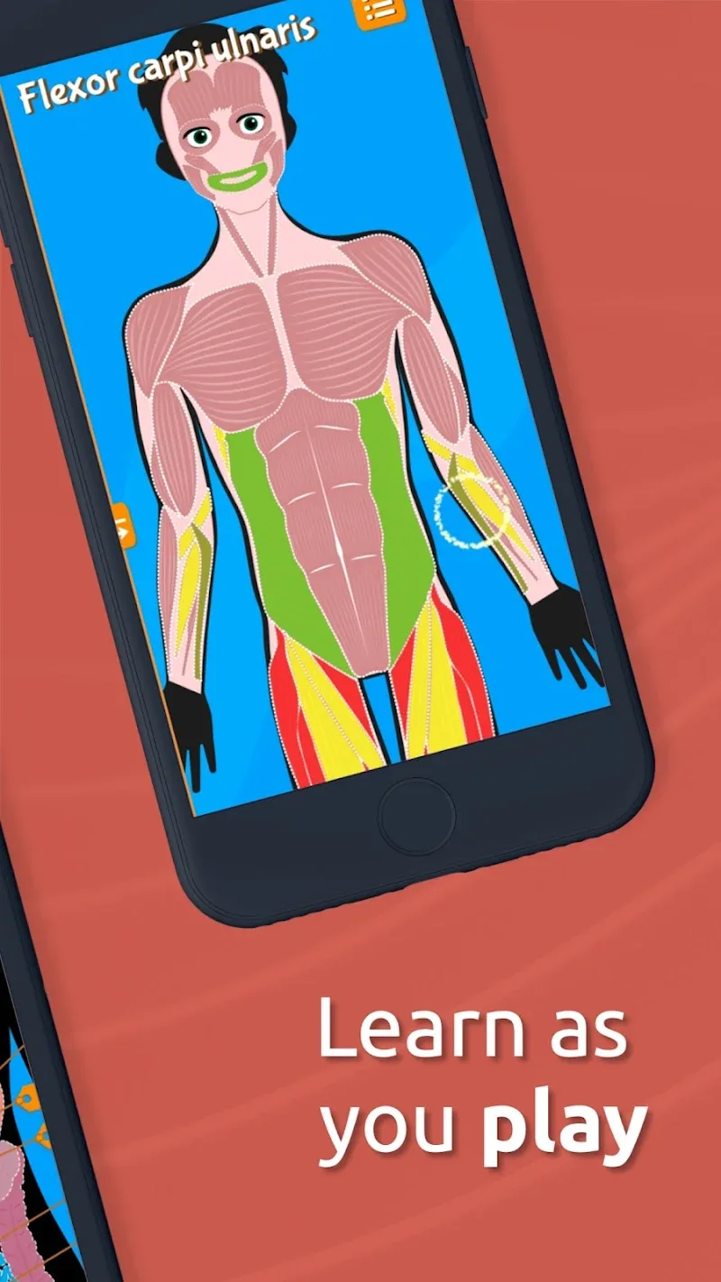 Anatomix screenshot 4