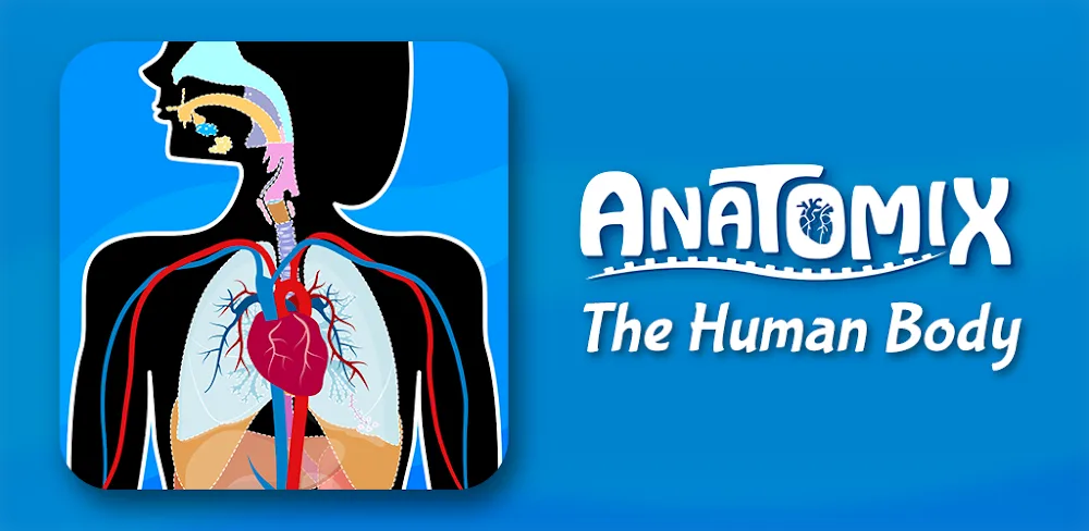 Anatomix screenshot 1