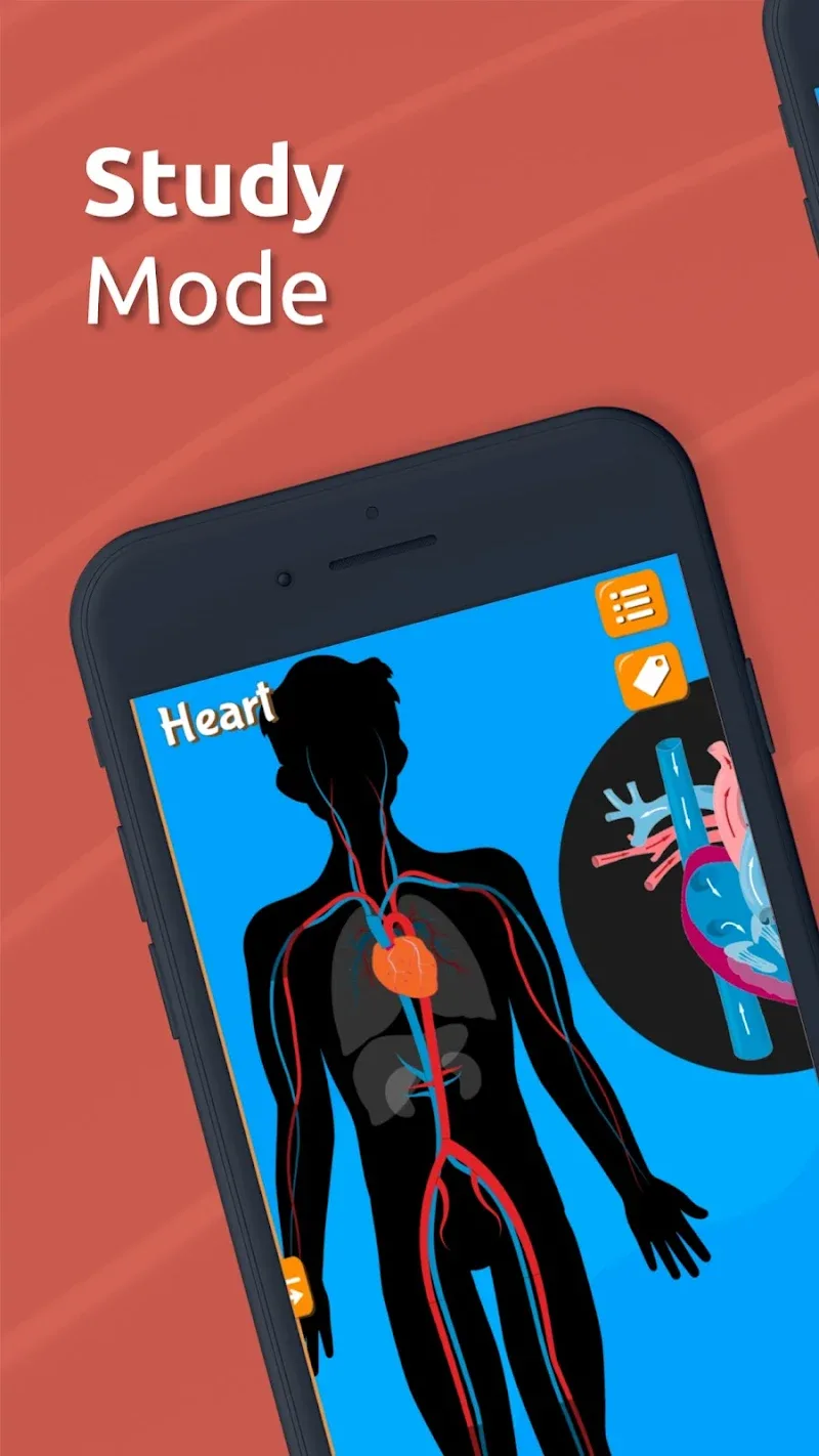 Anatomix screenshot 6