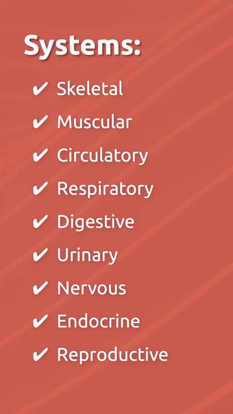 Anatomix screenshot 5