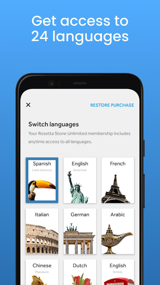 Rosetta Stone preview image 4