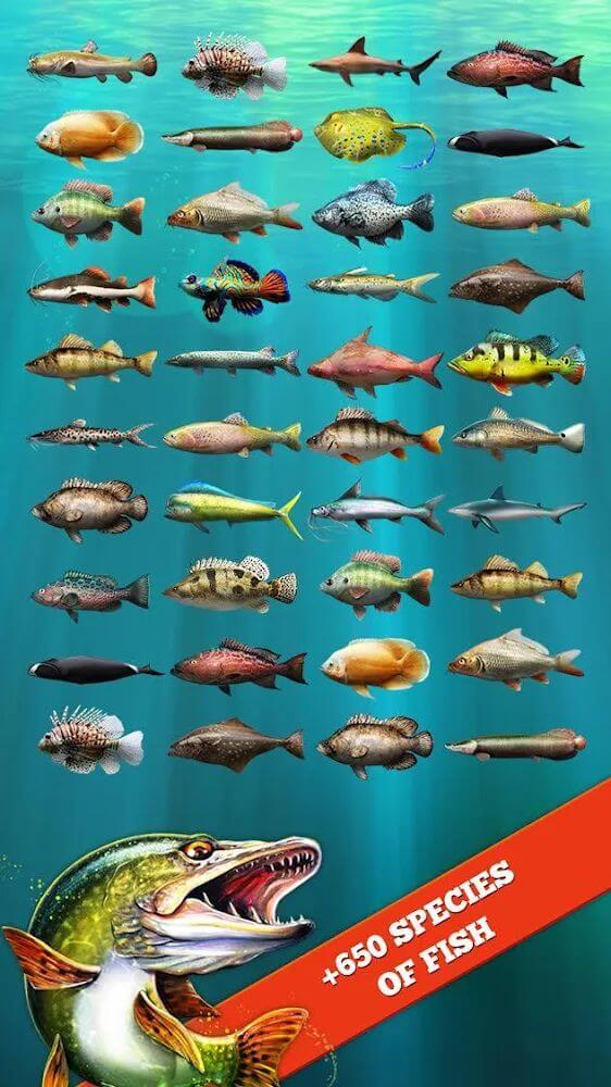 Let's Fish screenshot 4