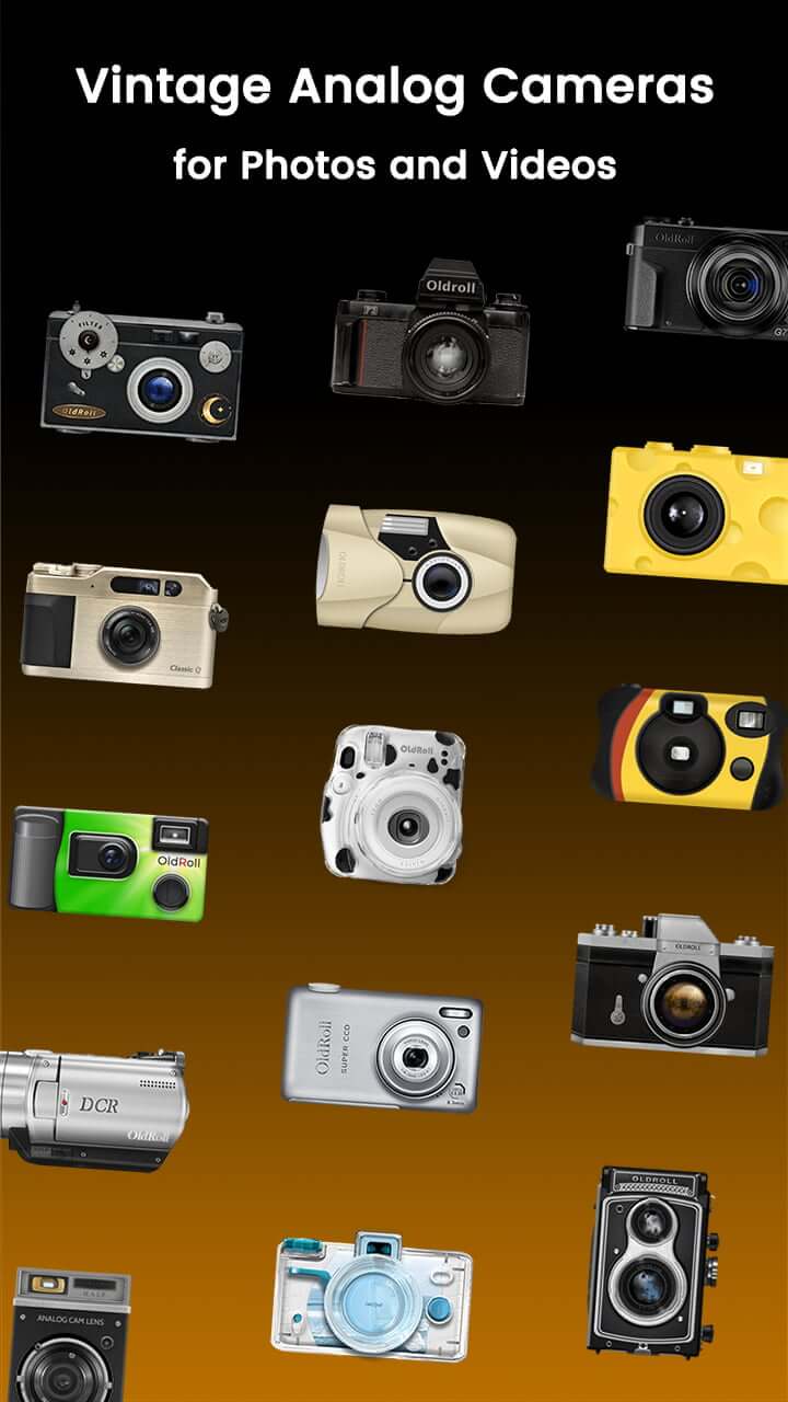 Disposable Camera - OldRoll screenshot 2
