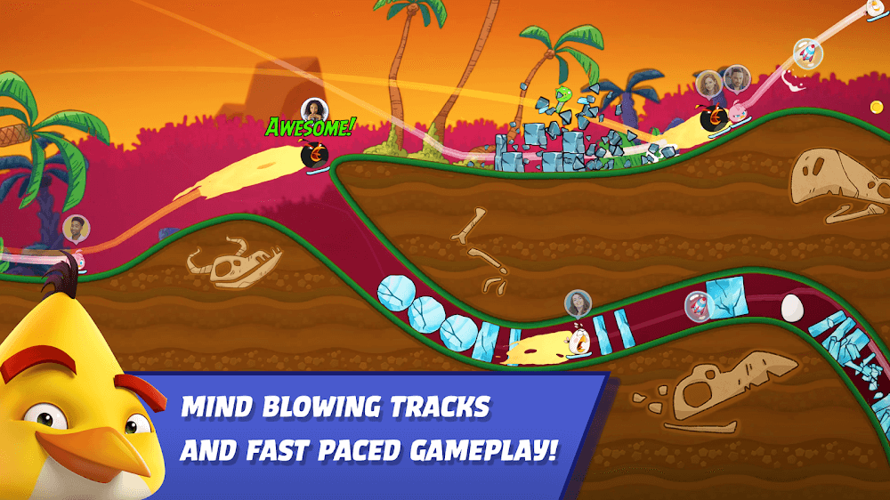 Angry Birds Racing screenshot 2