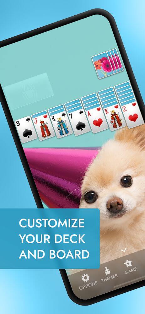 Spider Solitaire+ screenshot 3