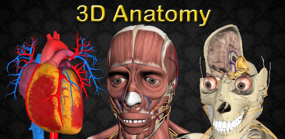 3D Anatomy screenshot 1