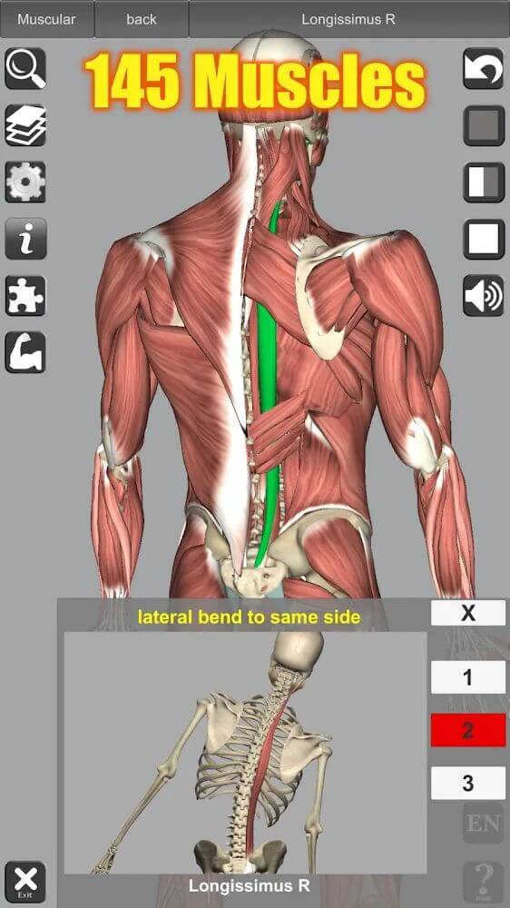3D Anatomy screenshot 3