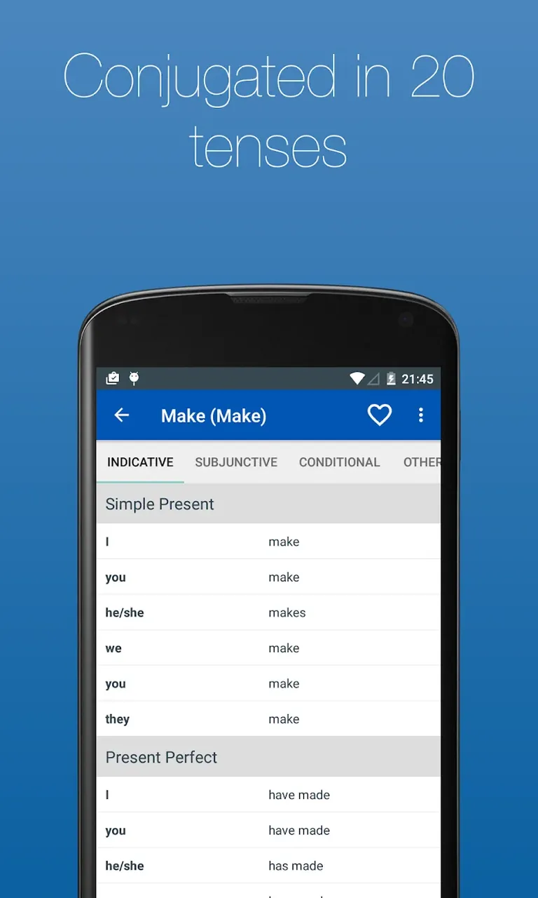 English Verb Conjugator Pro screenshot 5