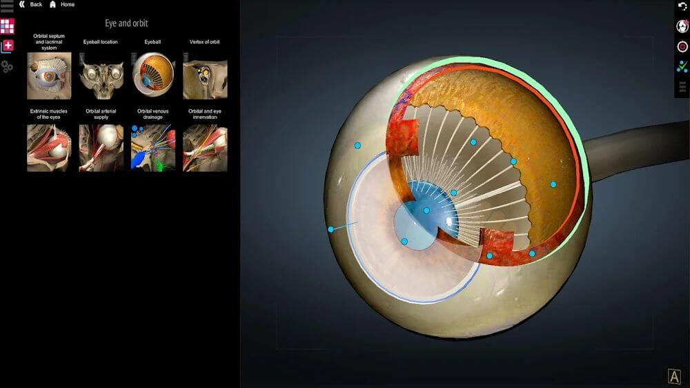 Anatomy Learning - 3D Anatomy Atlas screenshot 4
