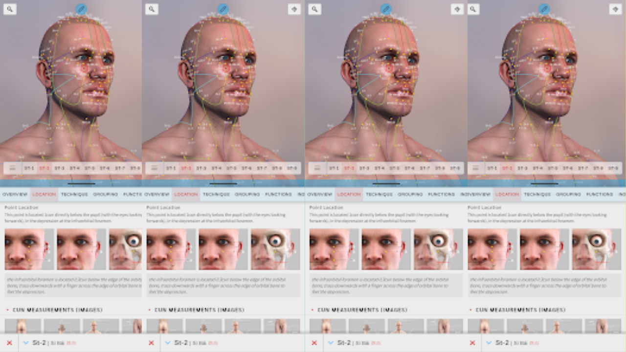 Acupuncture Atlas 3D screenshot 1