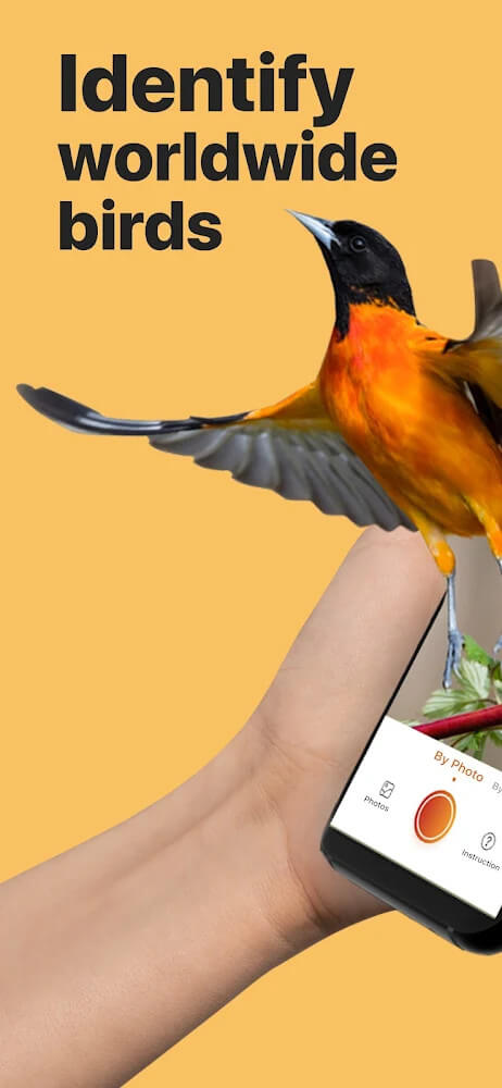 Picture Bird - Bird Identifier screenshot 2