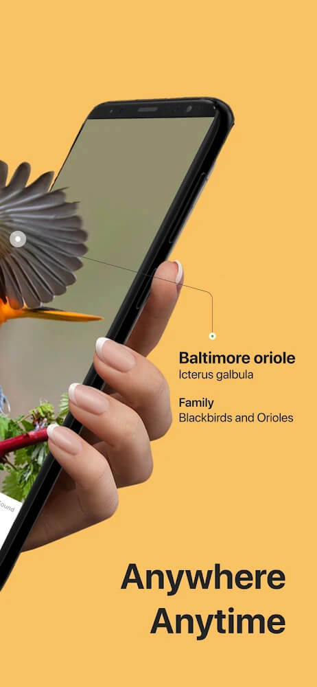 Picture Bird - Bird Identifier screenshot 3