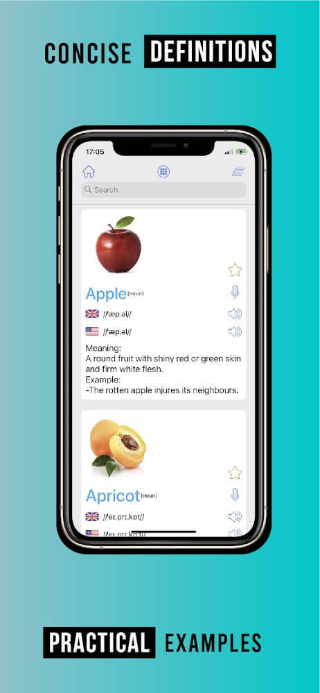 English Vocabulary screenshot 6