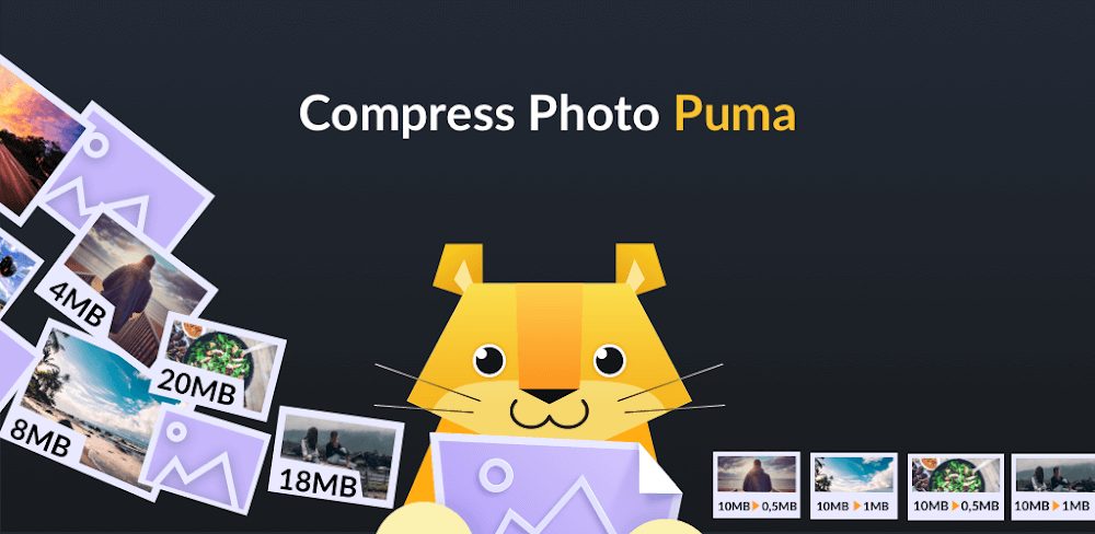 Puma Image Compressor Resizer screenshot 1