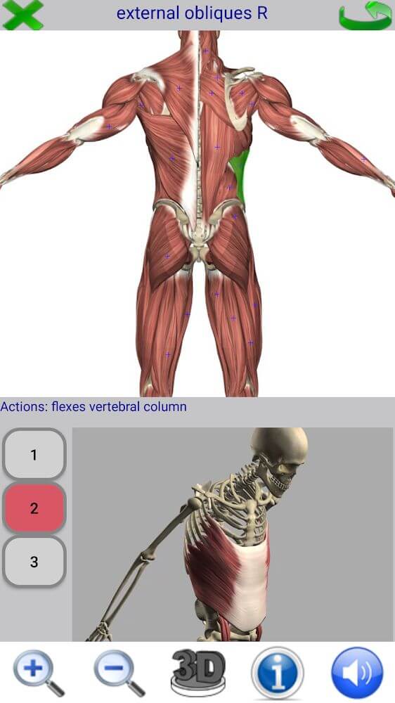 Visual Anatomy 2 screenshot 5