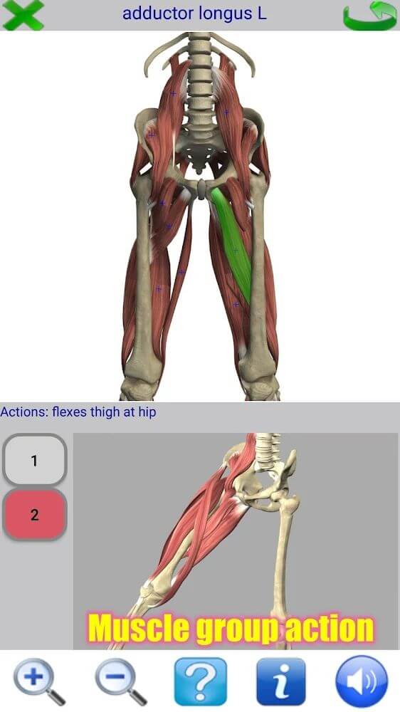 Visual Anatomy 2 screenshot 4