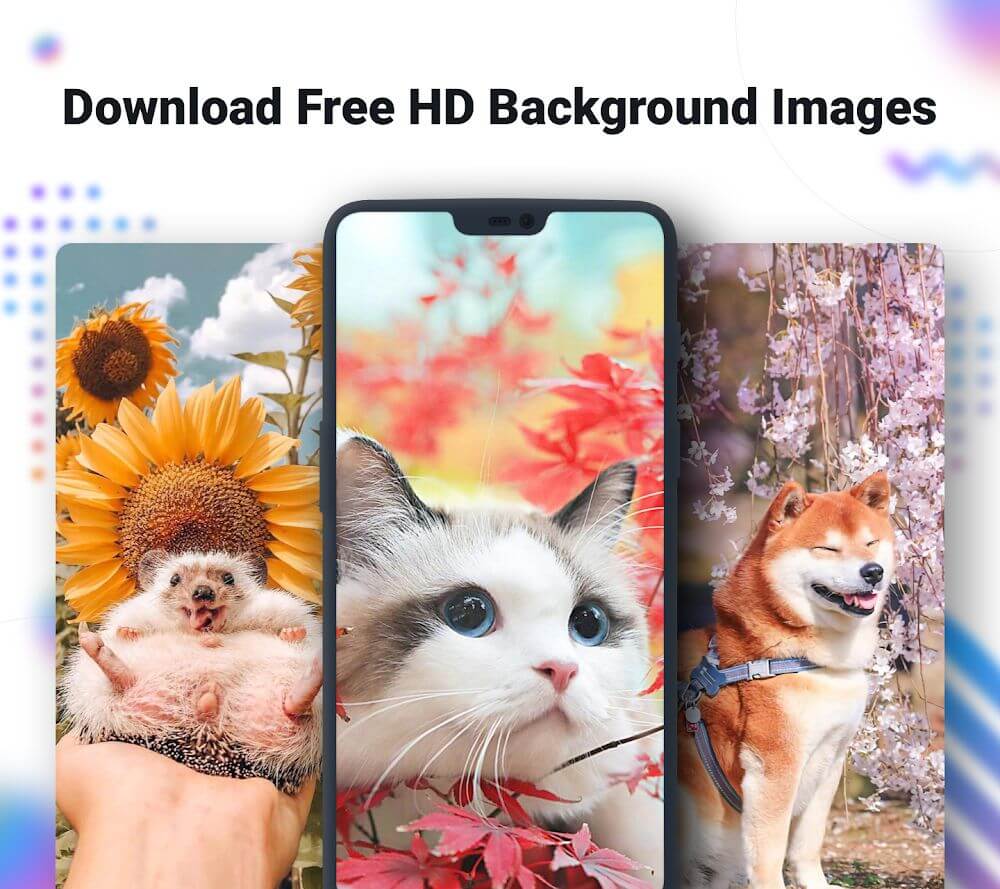 NoxLucky screenshot 7