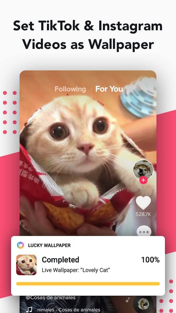 NoxLucky screenshot 3