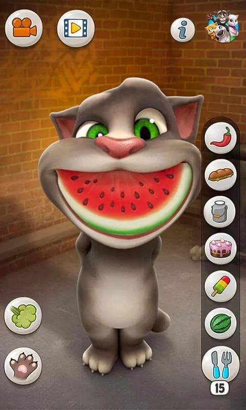 Talking Tom Cat screenshot 3