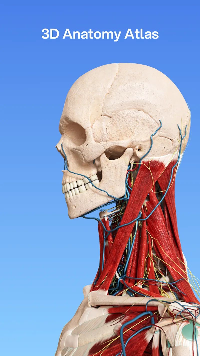 VOKA 3D Anatomy and Physiology screenshot 2