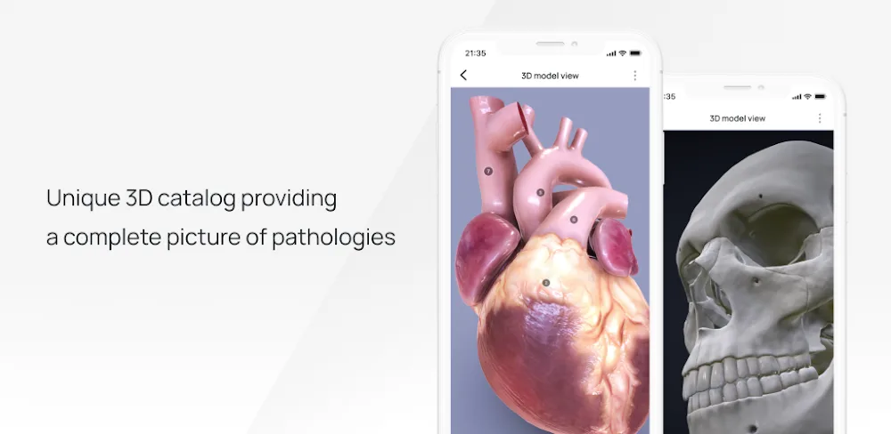 VOKA 3D Anatomy and Physiology screenshot 1