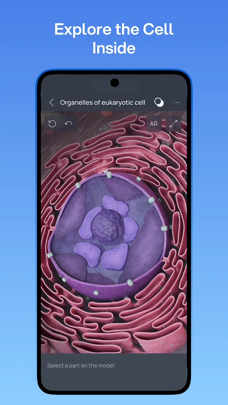 VOKA 3D Anatomy and Physiology screenshot 5