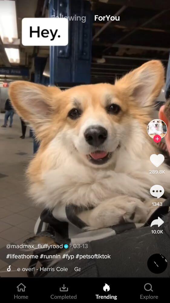 Tmate - TikTok Downloader Screenshot 7