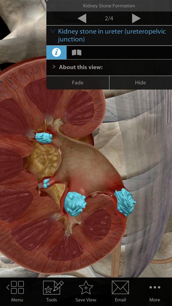 Physiology & Pathology screenshot 5